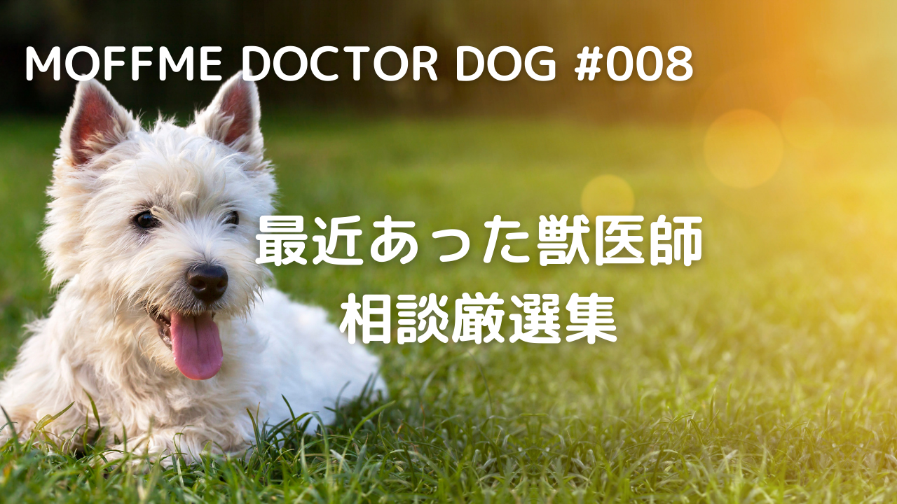 【MOFFME DOCTOR DOG】ゲージ外でトイレができません。どうすればいいでしょうか?-サムネイル画像